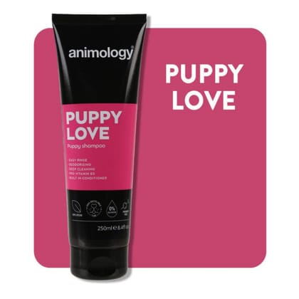 Saitrayaa Animology Puppy Love Shampoo for Dogs 250ml 250ml