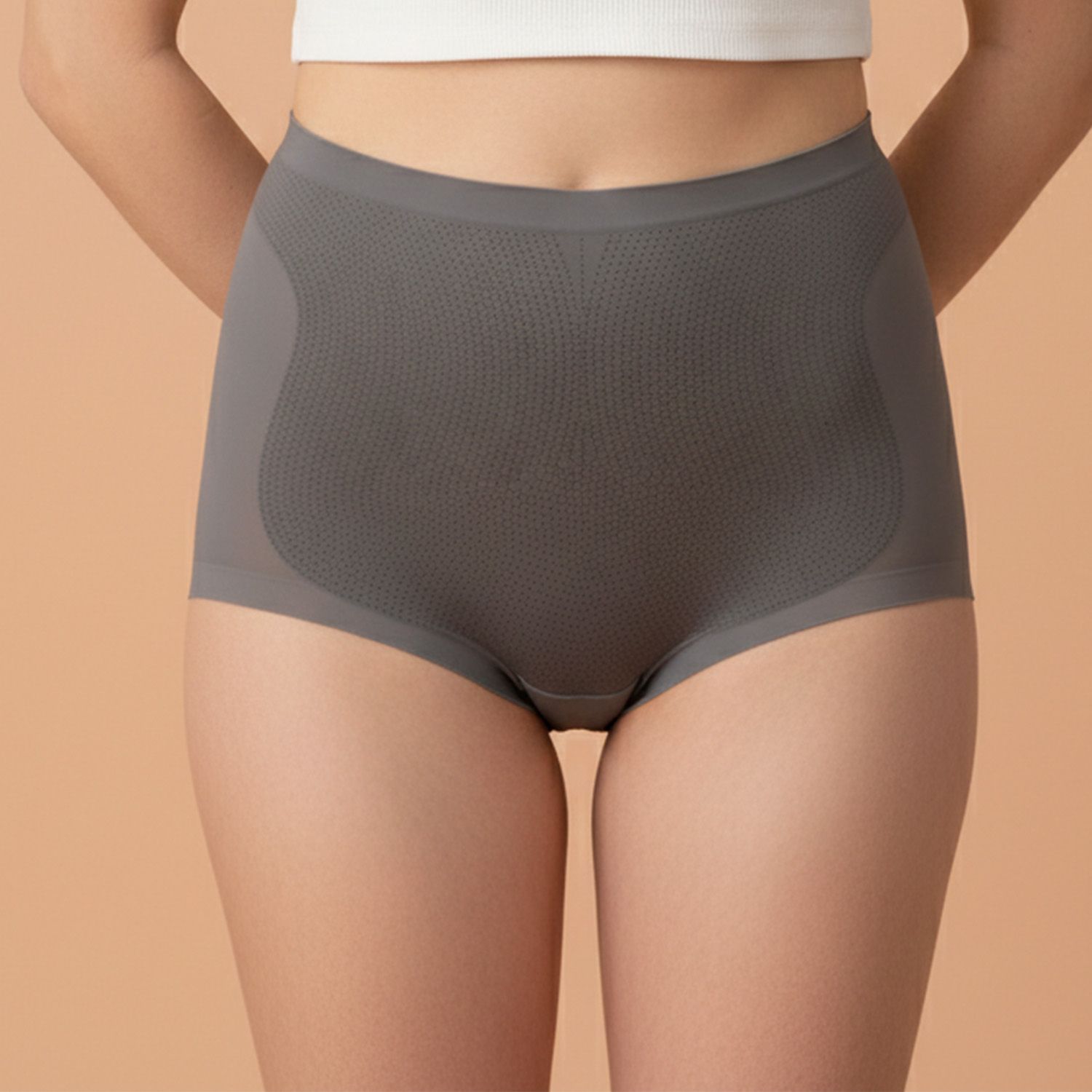 P2513 Ice Silk Real Bamboo Modal Panty