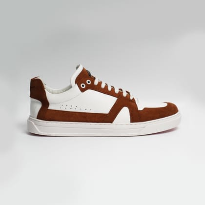 ZL IV - BROWN-6