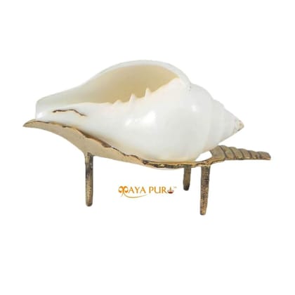 MAYAPURI Natural Non-Blowing Puja Shankha or Jal Sankha/Pani Wala Shankh for Pooja, Aarti, Original White Conch Shells with Brass Sankha Stand (Pack of 1 Set) MAYAPURI Natural Non-Blowing Puja Shankha or Jal Sankha/Pani Wala Shankh for Pooja, Aarti, Original White Conch Shells with Brass Sankha Stand (Pack of 1 Set)