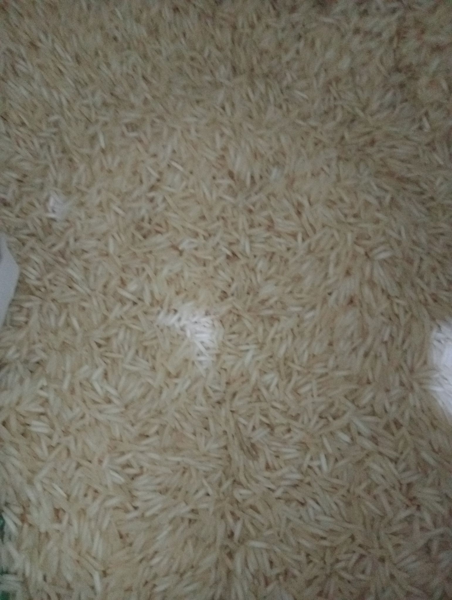 A2Z premium rice 