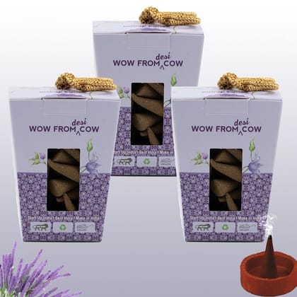 Nandi Panchgavya 100 Percent Cow Dung Lavender Dhoop Cones (150 Pcs)