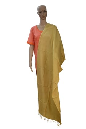 Pure organic Tussar Eri Dyed Stole