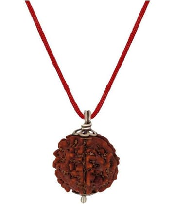 Astrodidi 5 Mukhi Rudraksha With Lab Certificate
