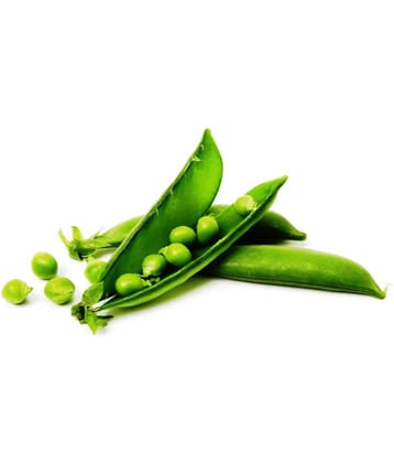 Iris Hybrid Vegetable Seeds Peas with Instruction Manual