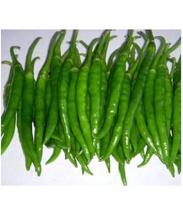 Best Hybrid Chilli Seeds - 50 + Instruction Manual