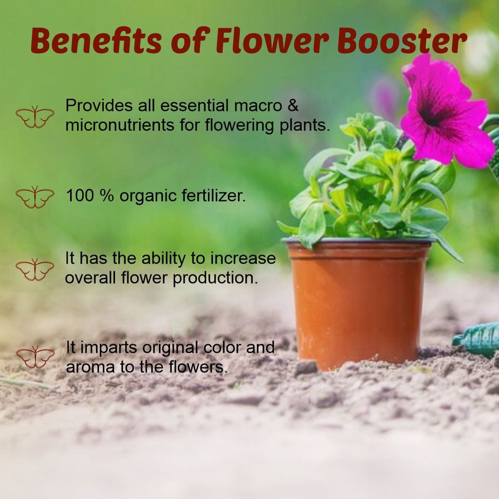 Garden Genie Flower Booster for Flowering Plants 830g | Essential Organic Growth Fertilizer for All Flower Plants, Powder