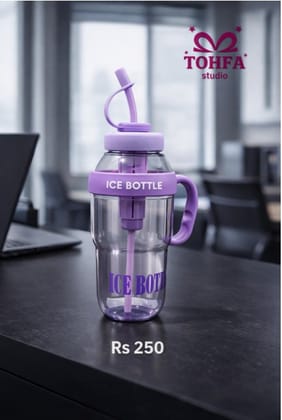 Ice bottle with straw and handle