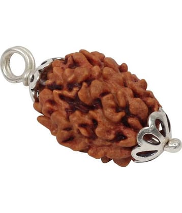 Astrodidi 3 Mukhi Rudraksha Pendant With Lab Certificate