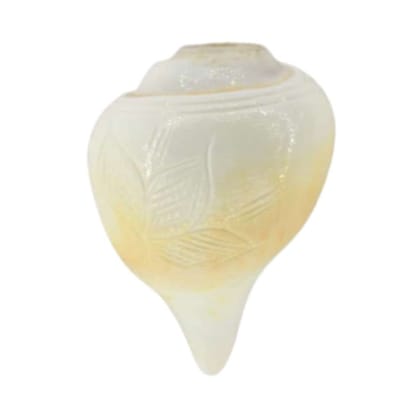 MAYAPURI Blowing Shankh for Pooja Original Conch Shell, Size: 3.5 inches (Small)