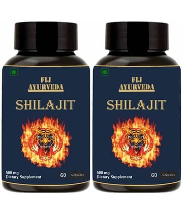 FIJ AYURVEDA Shilajit  Capsule Supports Vigor & Vitality - 500mg 60 Capsules (Pack of 2)