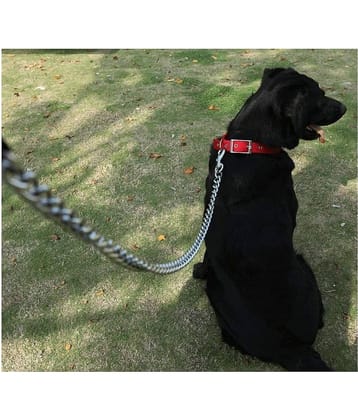 Dog Belt Combo of  Dog Collar Belt with Dog Chain Specially for all Dogs  Lengthy Dog Collar & Chain  (color may vary)