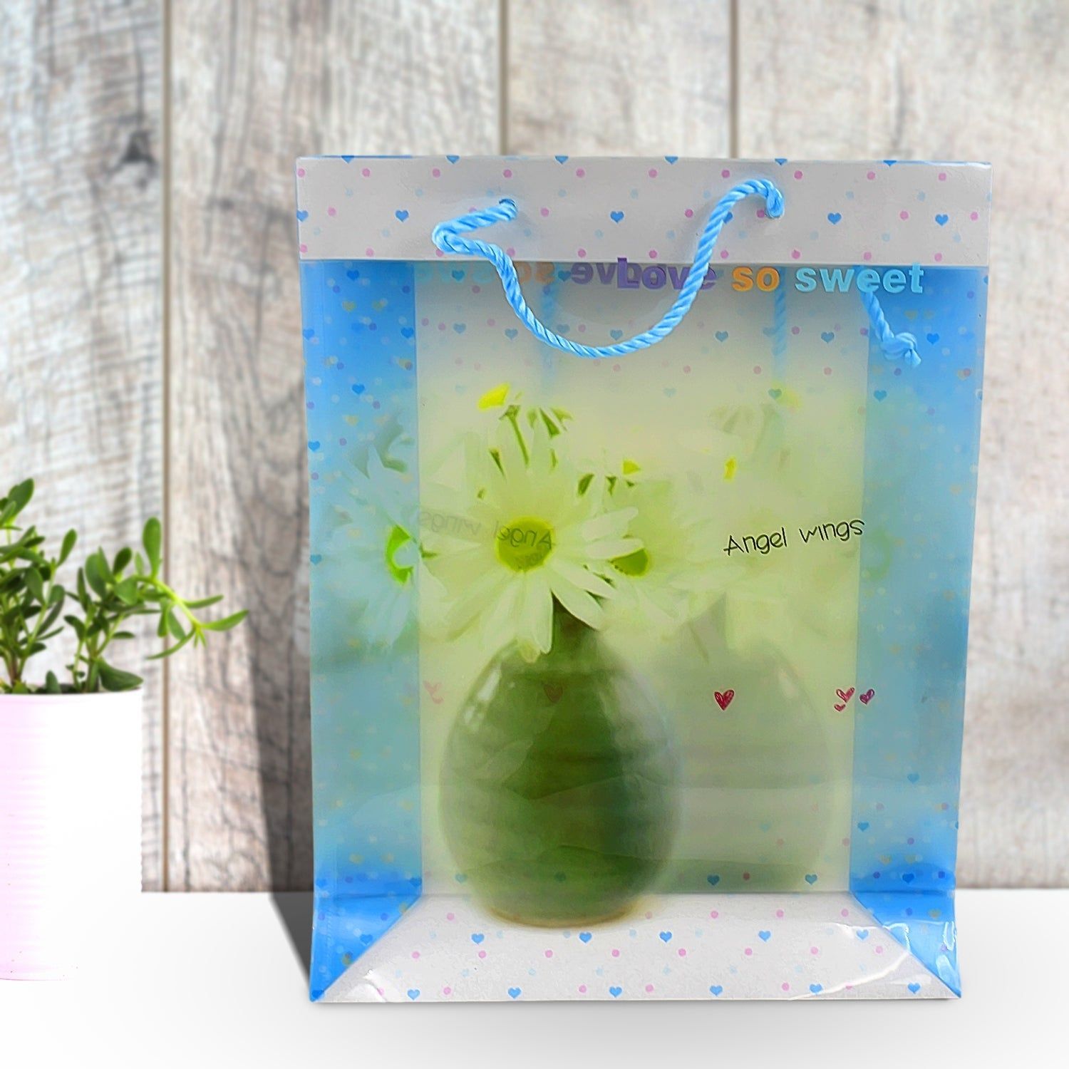 Plastic Transparent Bag With Handle (1 Pc / 34 x 26 Cm)_assorted colour