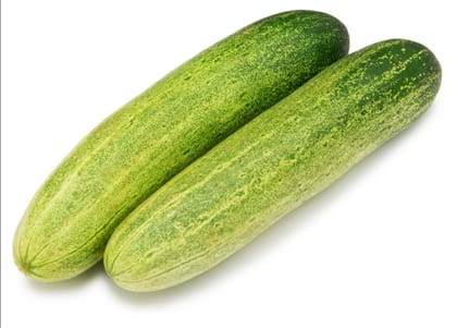 Cucumber