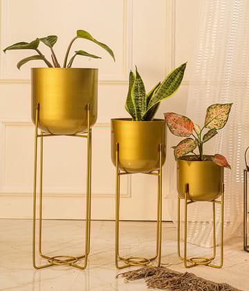 Golden Rounded Brass Metal Planter- Set of 3