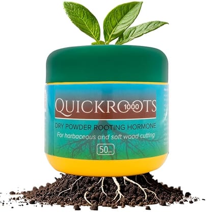 DIVINE TREE Quick Root 1000 Dry Powder Rooting Hormone for Plants Herbaceous and Soft Wood Plant Grow Nutrition 50 Gram