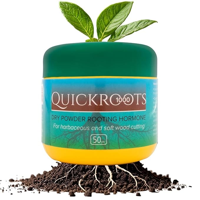 DIVINE TREE Quick Root 1000 Dry Powder Rooting Hormone for Plants Herbaceous and Soft Wood Plant Grow Nutrition 50 Gram