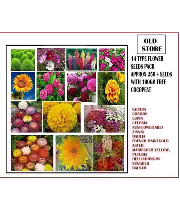 COMBO OF 14 TYPE FLOWER SEEDS WITH 100 GM FREE COCOPEAT 250+ SEEDS PACK AND USER MANUAL (ASTER,BALSAM,DAHLIA,COSMOS,CELOSIA,KOCHIA,MARIEGOLD YELLOW,FRENCH MARIEGOLD,SUN GOLD,SUNFLOWER MED,ZINNIA,HELICHRYSSUM,LUPIN,PETUNIA) 10-10 SEEDS OF EACH 1
