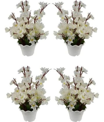 Green plant indoor Orchids Multicolour Flowers With Pot - Pack of 4