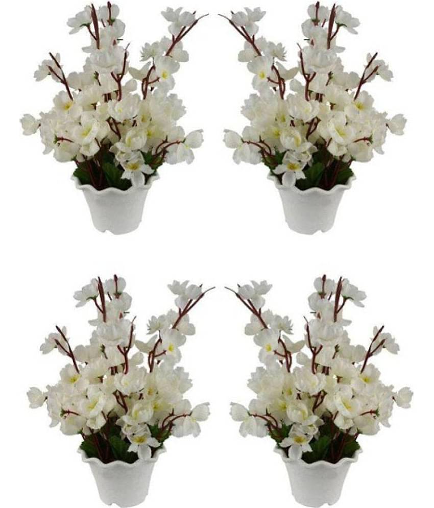 Green plant indoor Orchids Multicolour Flowers With Pot - Pack of 4
