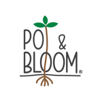 Pot and Bloom