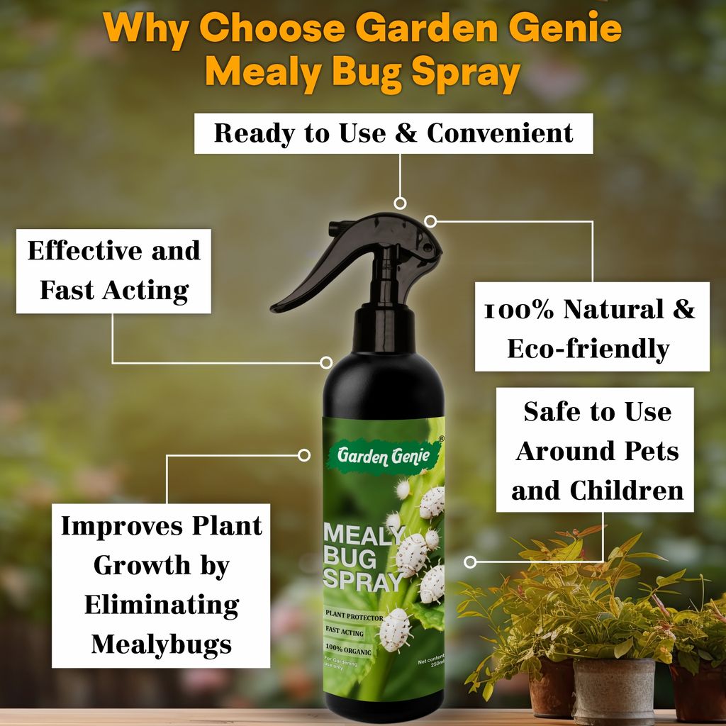 Garden Genie Mealy Bug Killer Spray for Plants 250ml | 100% Natural White Bug Insecticide for Plants Home Garden | No Harmful Chemicals | Pet & Children Safe