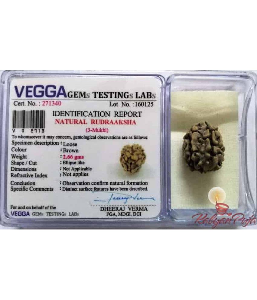 only 4 you 3 Mukhi Rudraksha with lab certificate