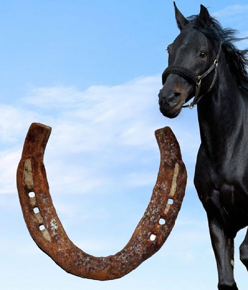 Shri Astha Vinayak Original Kale Ghod Ki Naal/ Black Horse Shoe for Good Luck And Restrict Bad/Evil Energy(SET OF 1)