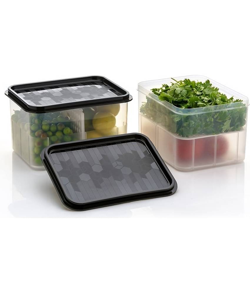 Analog Kitchenware Fruit AND Vegetable Plastic Black Food Container ( Set of 2 )
