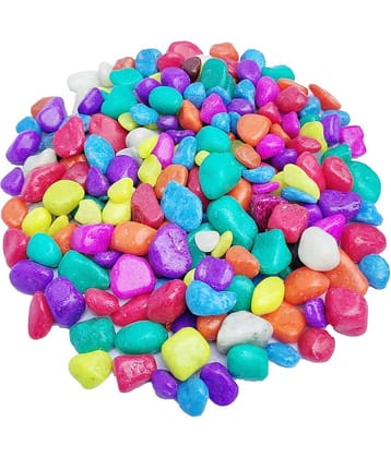 Somil Multicolor Pabbles/Stone For Garden, Plants, Aquarium & Home Decor Wt. 450g