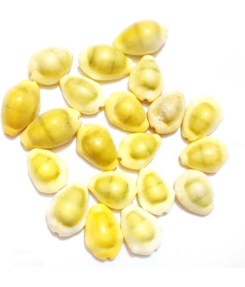 Yuvi Shoppe Natural Yellow Kaudi | Kowdi | Cowrie | Yellow Koudi Peeli | Yellow Kawri Kodi Peeli Cowrie Sea Shell | Laxmi and Diwali Pooja Article Kaudi Shells (Natural Yellow) - Set of 11 pcs