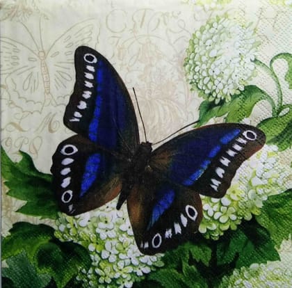 Decoupage Napkin / Tissue papers - 25cm*25cm - GT3165