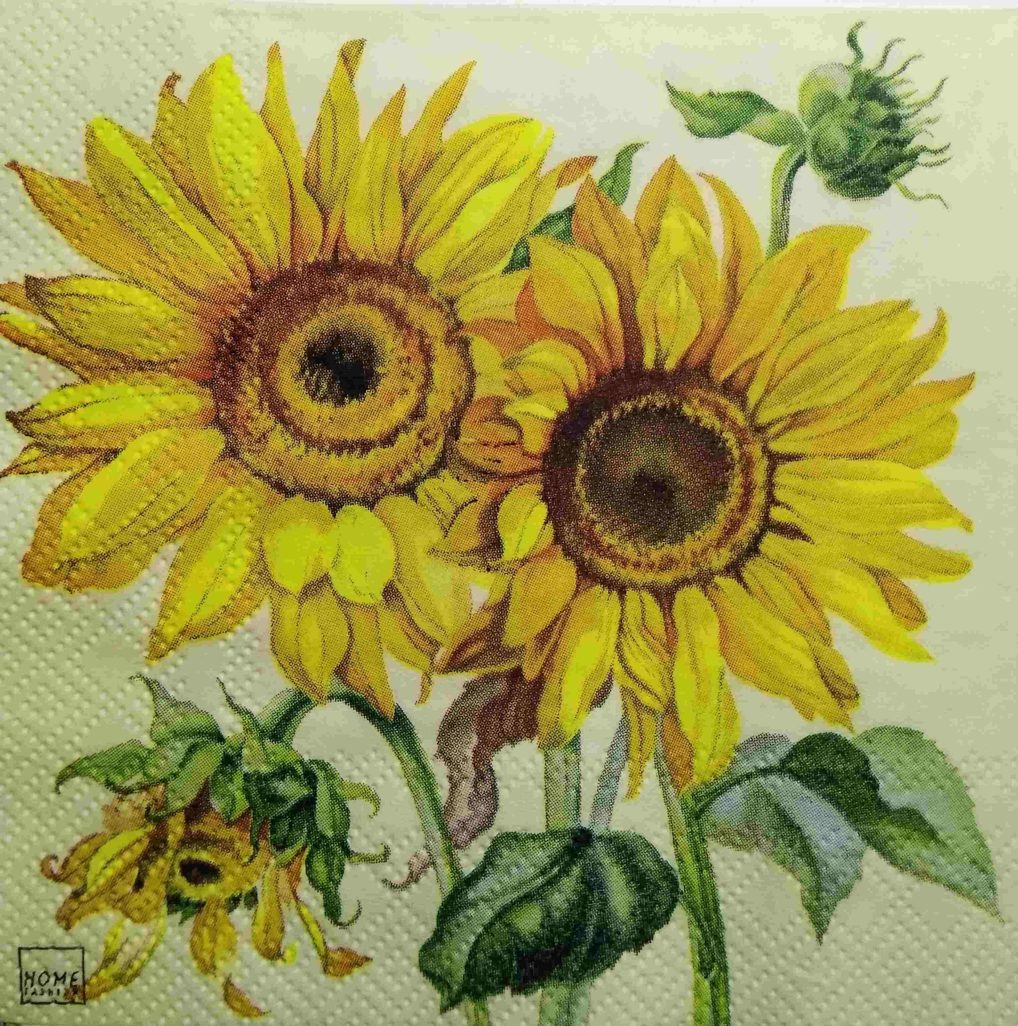 Decoupage Napkin / Tissue papers - 25cm*25cm - GT3229