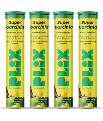 Plixgarcinia Cambogia Tablets For Weight Loss with ayurvedic herbsginger & Cinnamon 4 x 15 Tablets