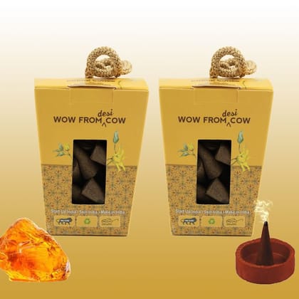 Nandi Panchgavya 100 Percent Cow Dung Amber Dhoop Cones (100 Pcs) with Stand