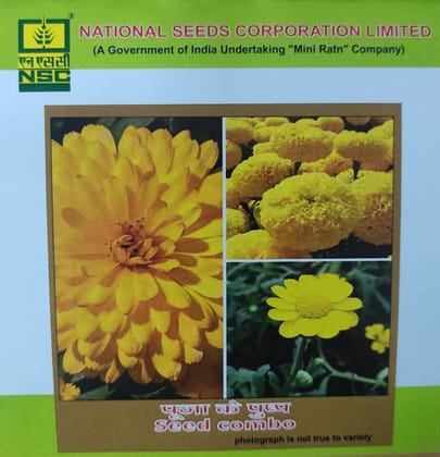 NSC  Pooja Flower seed  yellow Combo