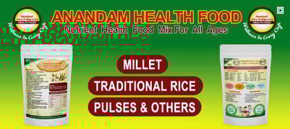 Anandam Health Mix 400