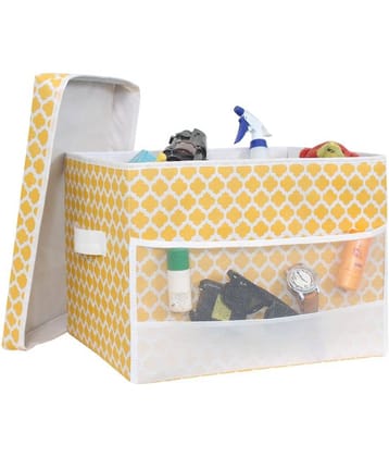 PrettyKrafts Non-Woven Storage Bag & Trunk