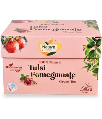 NATURE CHAI Tulsi Tea Bags 100 gm