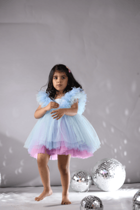 Sleeveless Ruffle Multicolour Net Dress-6-12 months