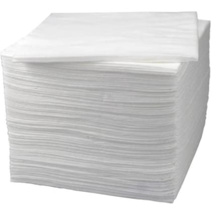 Elecsera Dry Tissue Paper (13 * 11 inch) Pack of 100 (100 Tissues) Elecsera Dry Tissue Paper (13 * 11 inch) Pack of 100 (100 Tissues)