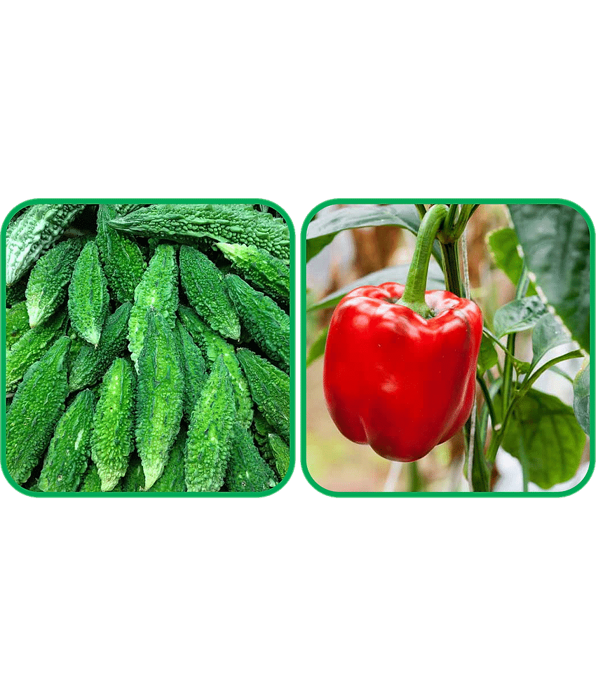 Aero Seeds Capsicum Red ( 30 Seeds) And Bitter Gourd ( 30 Seeds) Vegetable Seeds Pack