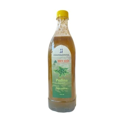Pudina Squash - 750 mL