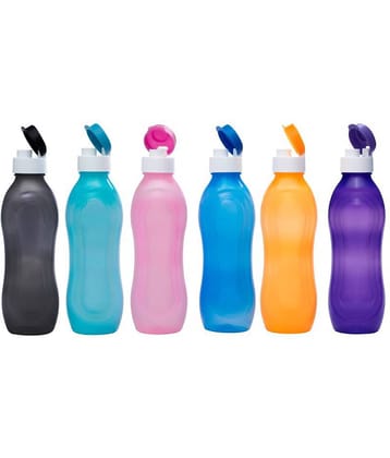 G-Pet G-Pet Pansy  Bottles SET of 6 Multicolour 1000 mL Polyproplene Fridge Bottle set of 6