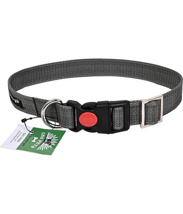 GNS PETS - Fluorescent Orange Collar ( Medium )