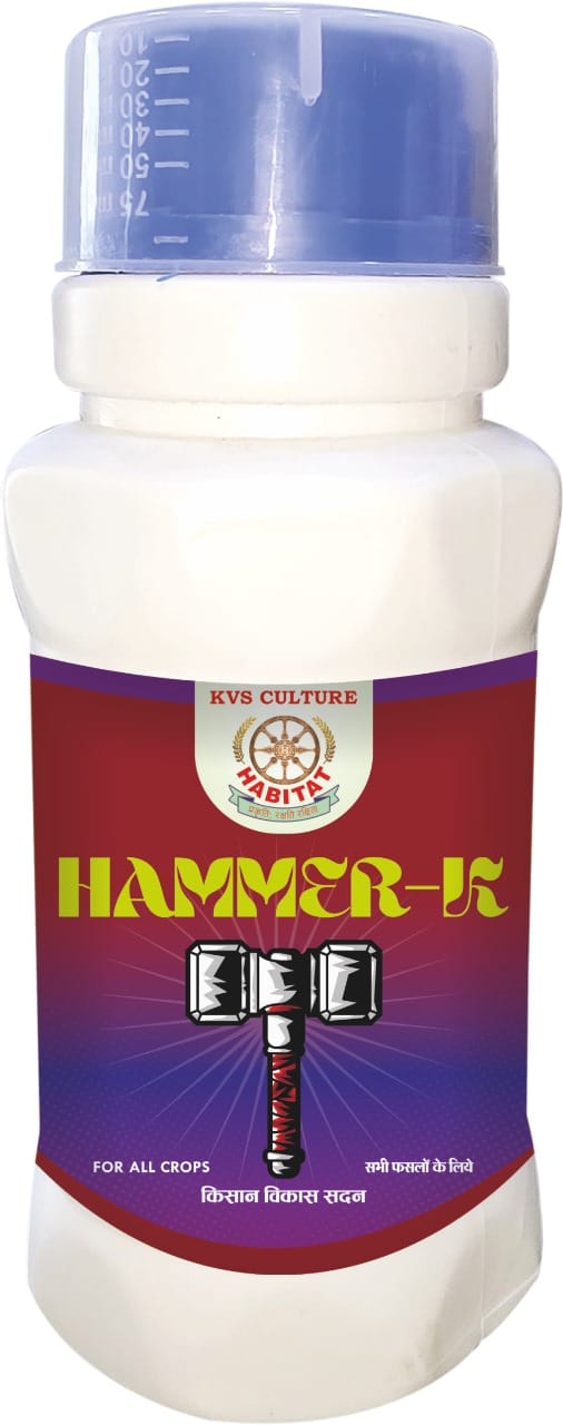 HT- HAMMER -K 250 ML