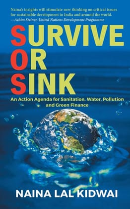 Survive or Sink: An Action Agenda for Sanitation, Water, Pollution and Green Finance