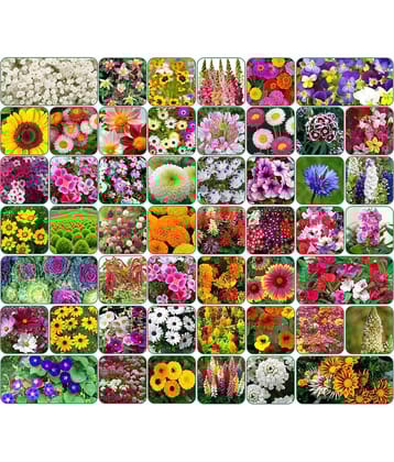 Aero Seeds 50 variety Flower seeds combo pack with instruction manual.