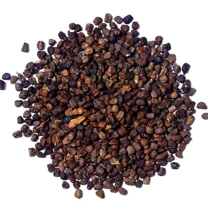 Spicyl Cardamom Seed, Indian Green Cardamom Seed, Green Elaichi Seed (Pack of 1) (Size - 100 Gram) by Spicyl Cardamom Private Limited