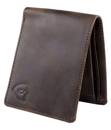 Keviv - Brown Leather Mens Regular Wallet ( Pack of 1 )